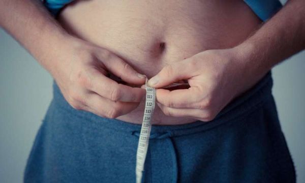 新研究发现肥胖和肠道微生物之间的新联系！